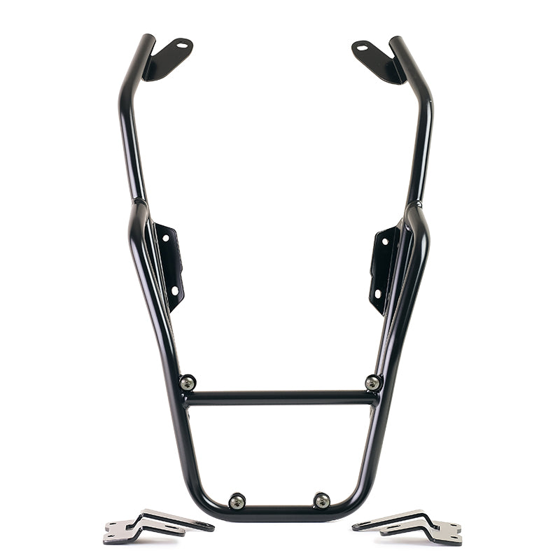 Copertura protettiva in carbonio per BMW RnineT