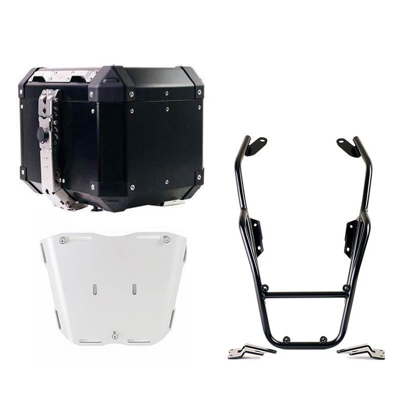 Copertura protettiva in carbonio per BMW RnineT