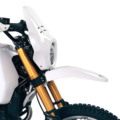 Copertura protettiva in carbonio per BMW RnineT