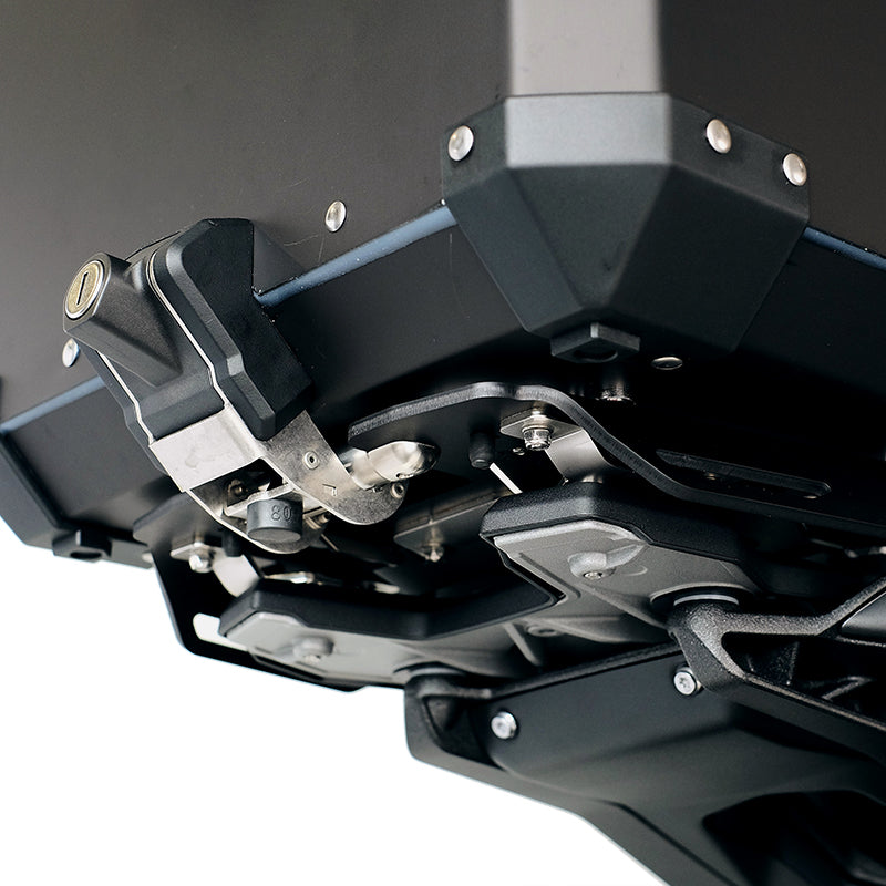 Copertura protettiva in carbonio per BMW RnineT