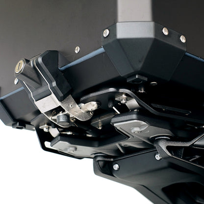 Copertura protettiva in carbonio per BMW RnineT