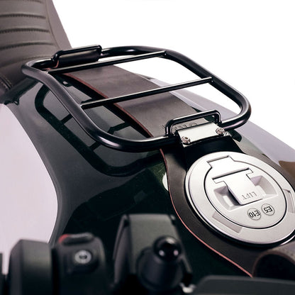 Copertura protettiva in carbonio per BMW RnineT